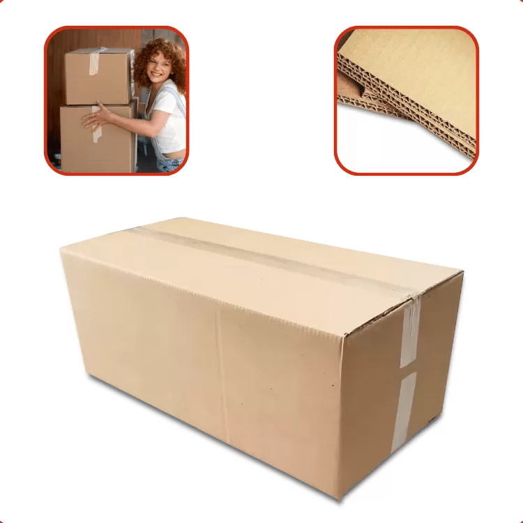 10 Caixas De Papelão Para Mudança 63x30x24 Ft 9222-10 Fortebox