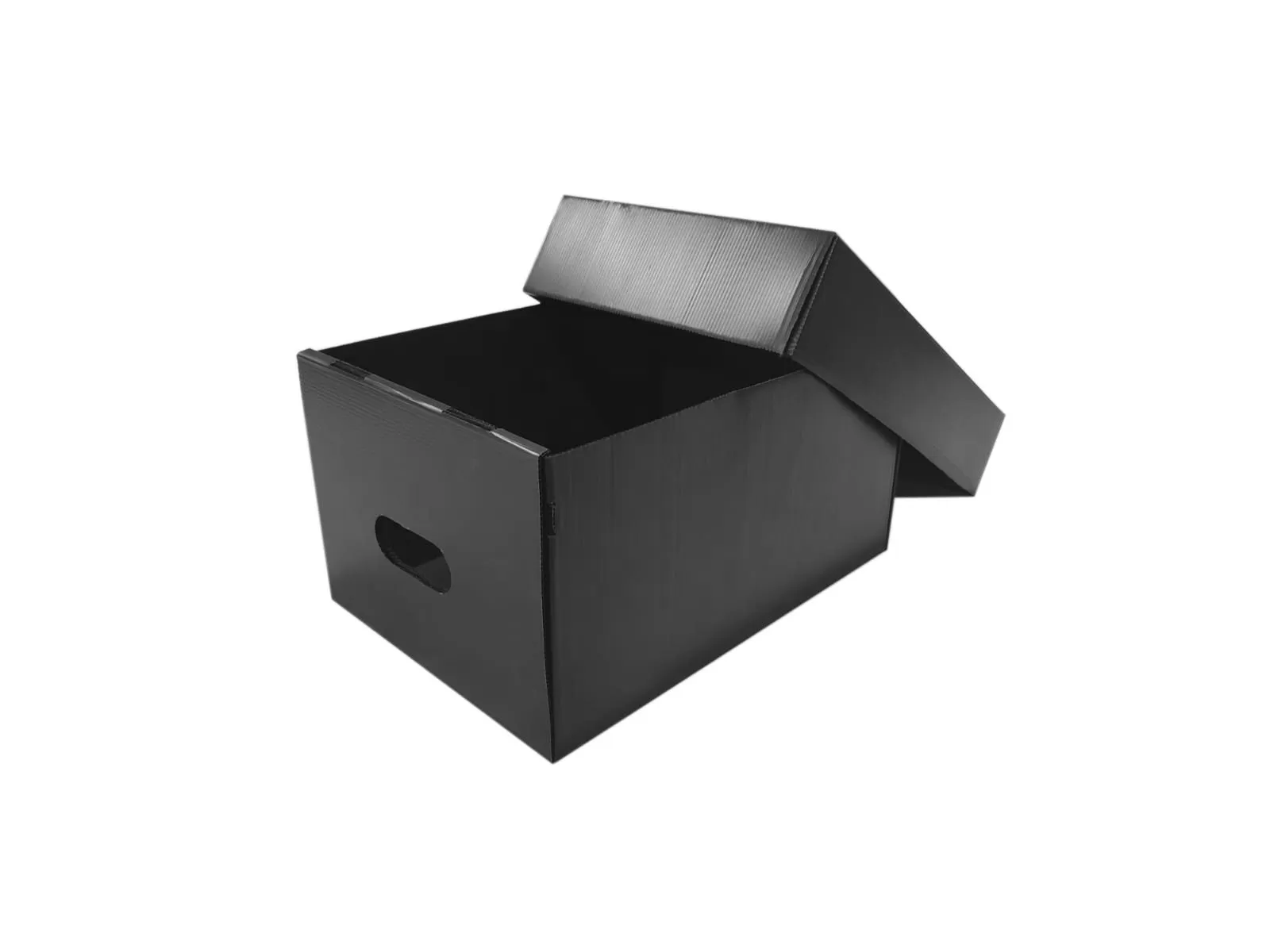 Home - ForteBox