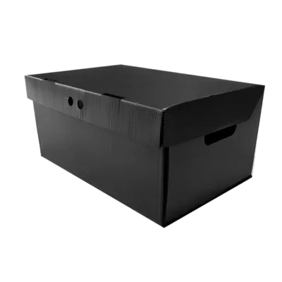 Arquivos Caixa Organizadora - ForteBox